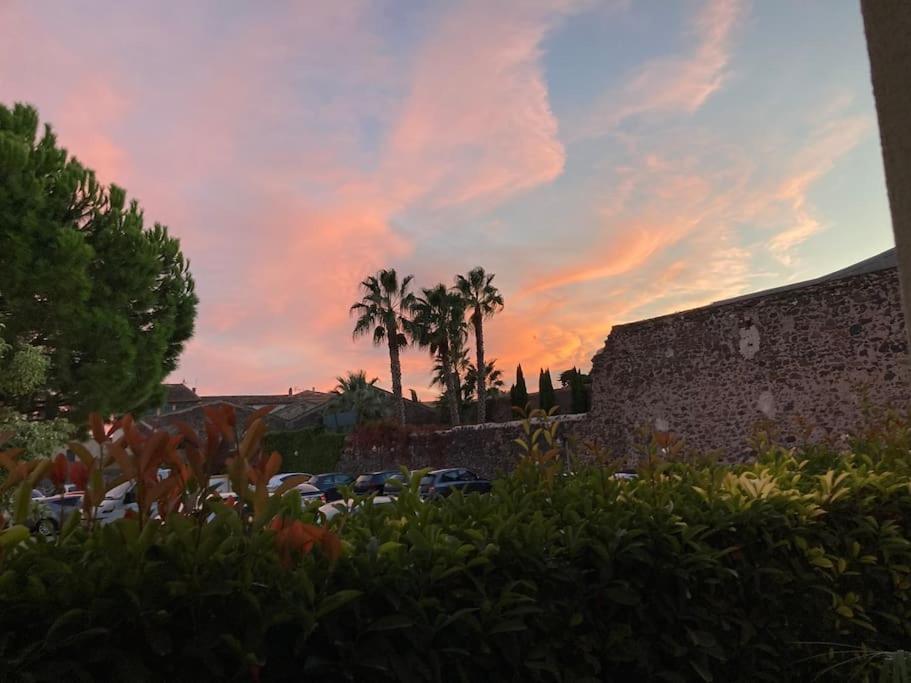 Lou Cameou Marseillan (Herault) Exterior photo